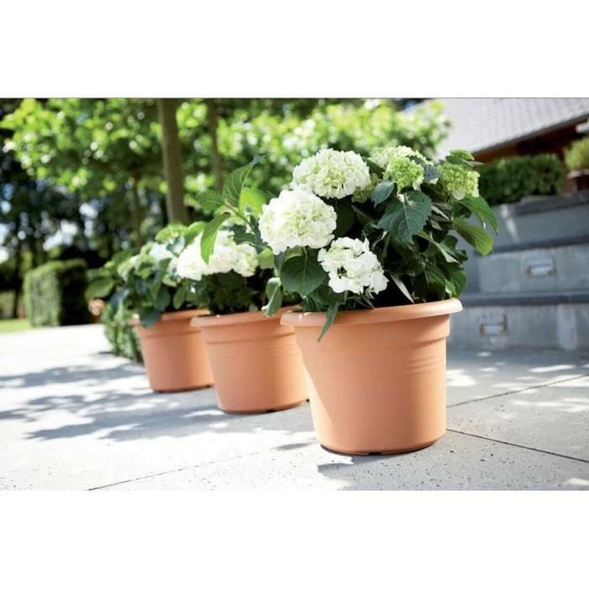Bloempot Elho   Rond Roze Plastic Ø 30 cm